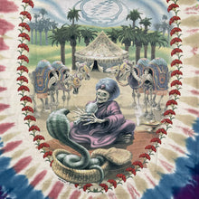 Load image into Gallery viewer, Vintage 2001 Liquid Blue Grateful Dead Snake Charmer Tie Dye Band Tee

