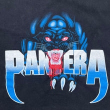 Load image into Gallery viewer, Vintage 2002 Pantera Panther Skulls Band Tee
