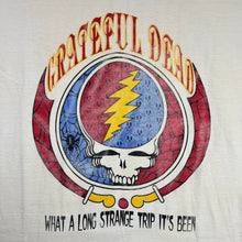 Load image into Gallery viewer, Vintage 1993 Grateful Dead Summer Tour Spider Web Logo Tee
