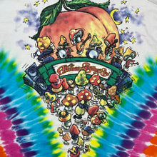 Load image into Gallery viewer, Vintage 1997 Liquid Blue Allman Brothers Band Mushroom Express Tie Dye Band Tee
