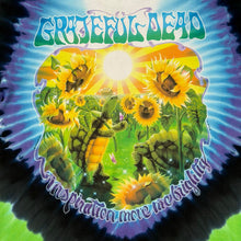 Load image into Gallery viewer, Vintage 1995 Liquid Blue Grateful Dead Terrapin Summer Tour Tie Dye Tee
