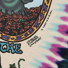 Load image into Gallery viewer, Vintage Liquid Blue Grateful Dead Jester Seasons Dead Endless Tour Tie Dye Band Tee
