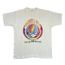 Load image into Gallery viewer, Vintage 1993 Grateful Dead Summer Tour Spider Web Logo Tee
