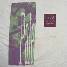 Load image into Gallery viewer, Vintage Toad The Wet Sprocket Pale Band Tee
